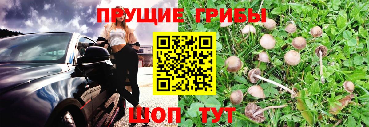  КОКАИН Курчатов